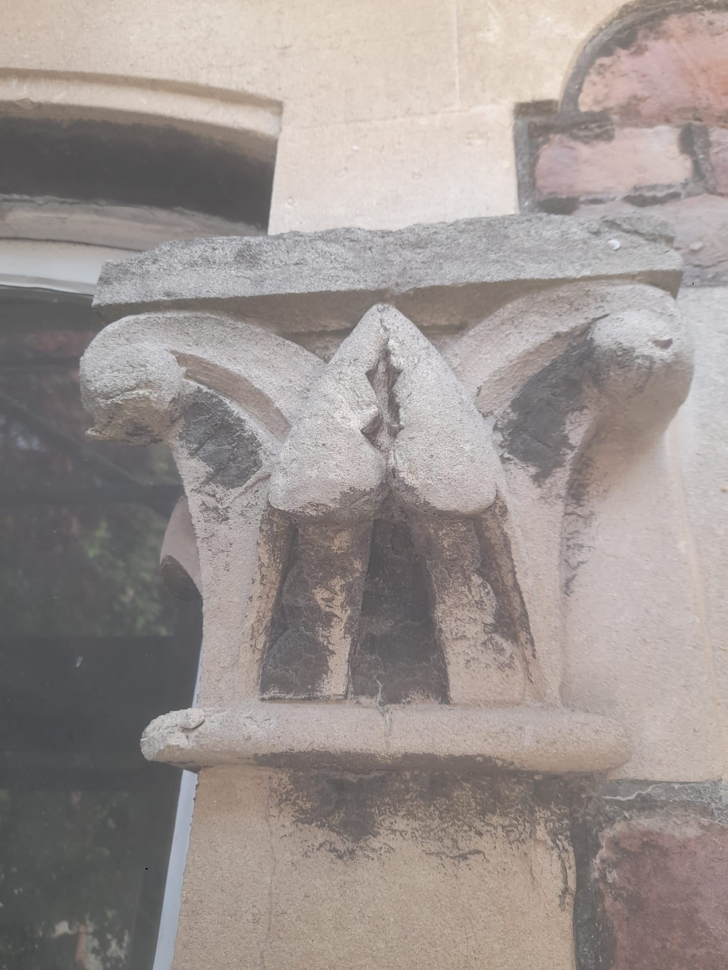 embark whatsapp-image-2025-03-06-at-121050-1