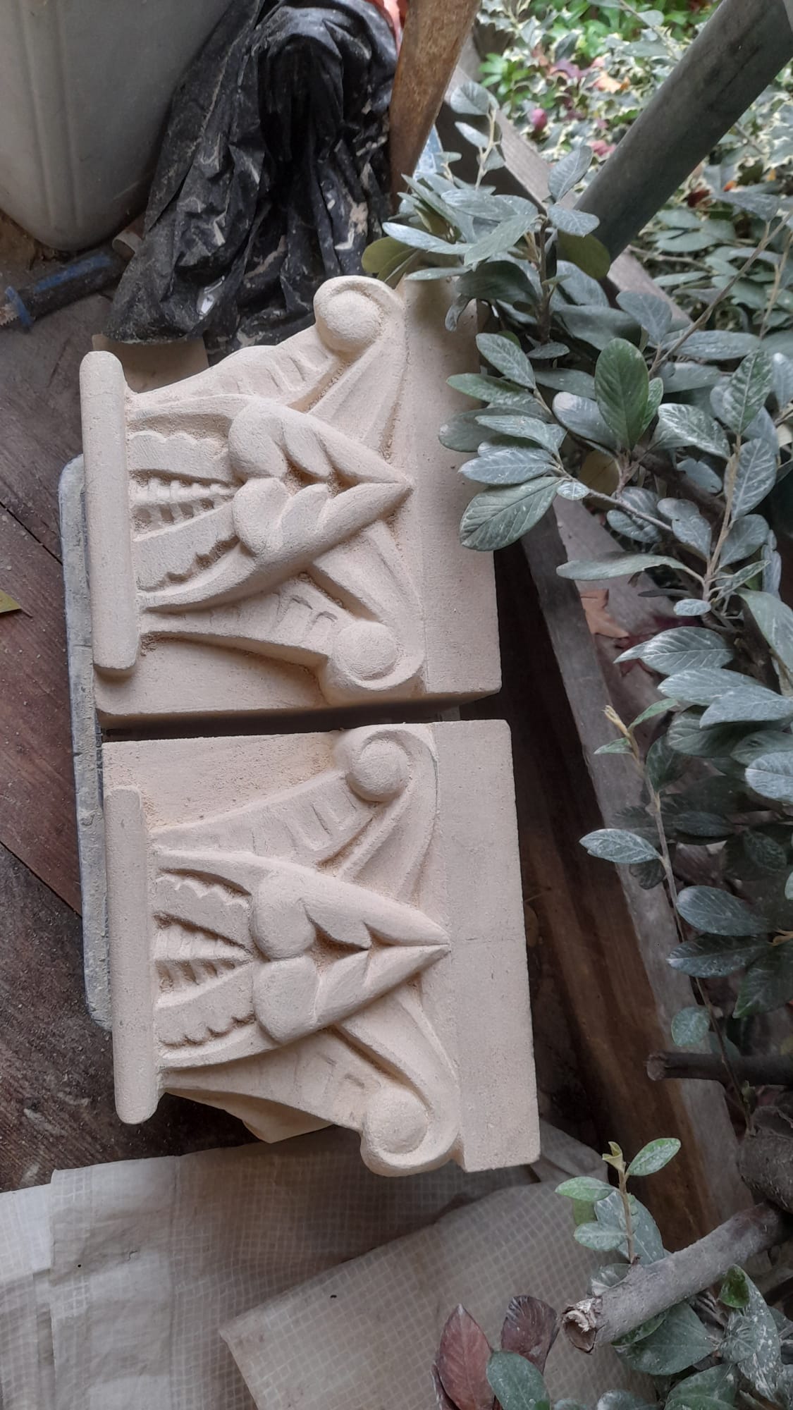 services-04 whatsapp-image-2025-03-06-at-121050-2